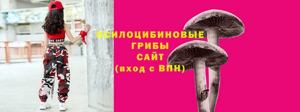 гашик Балахна