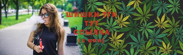 гашик Балахна