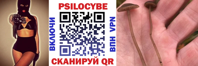 Галлюциногенные грибы мухоморы  Купить где  Гурьевск 