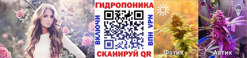 Купить где  Гурьевск  Марихуана гибрид 